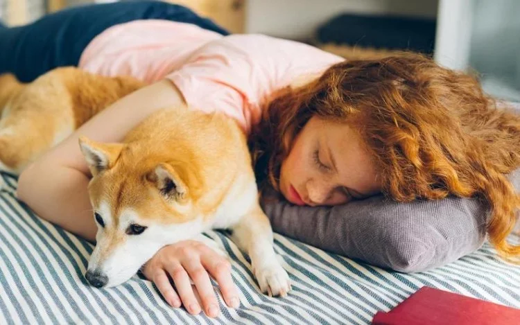 ¿Por qué no deberías dormir con tu mascota?