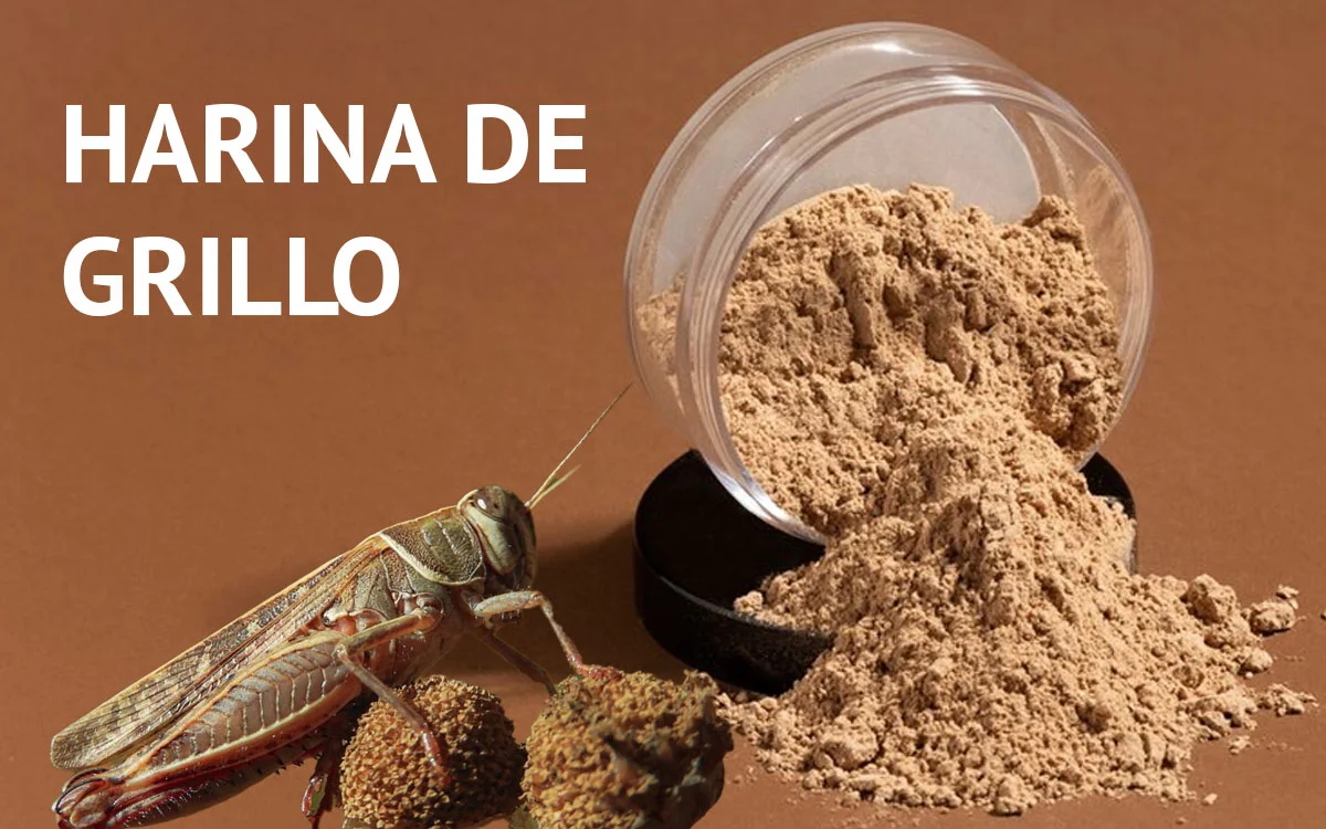 Ni del campo ni del molino… el inesperado ingrediente que ya compite con la harina de trigo