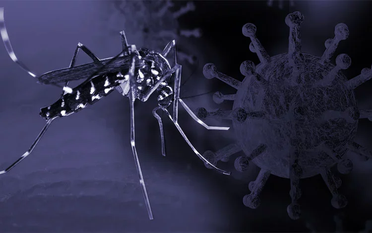 Cómo prevenir la coinfección de Covid-19 y Dengue
