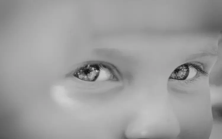 La mirada de la abundancia