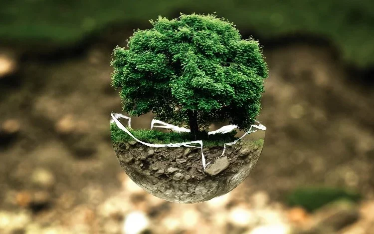 Consejos para cuidar el medio ambiente desde casa