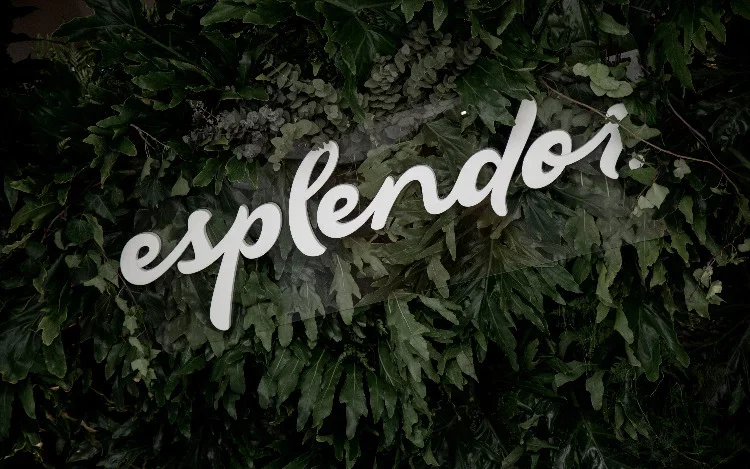 Esplendor by Wyndham, presenta su nueva identidad que celebra la convergencia del arte y la experiencia