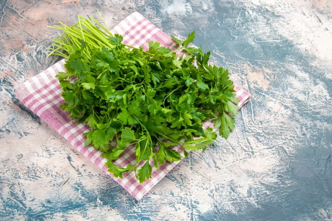 Ni el té verde ni el boldo… la infusión natural que promueve la salud de los riñones y sorprende a los expertos