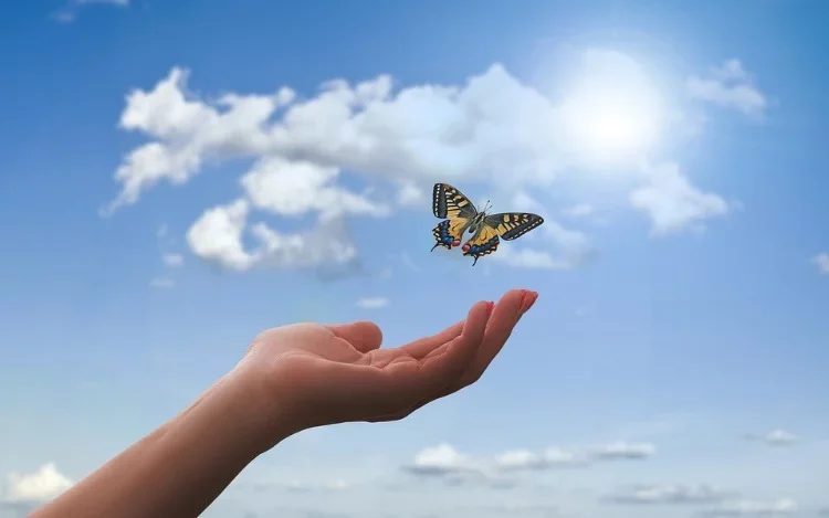 Biología de la Gentileza: La Ciencia de la Meditación