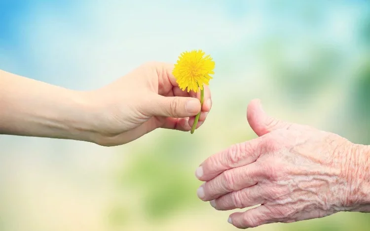 Residencias geriátricas en España: un espacio de encuentro y contención después de la crisis