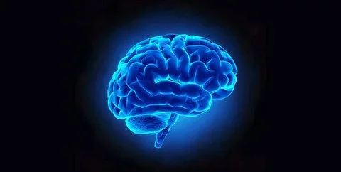 ¿Se puede medir la inteligencia?