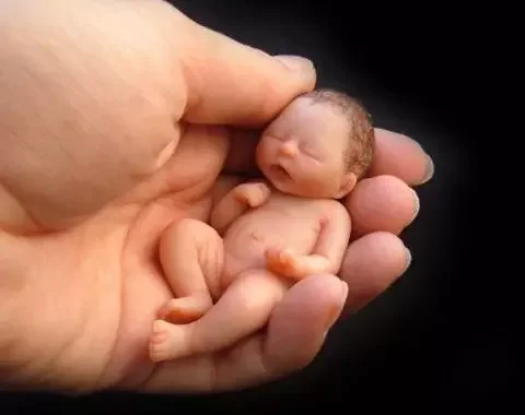 Curando al niño herido que hay en tu interior