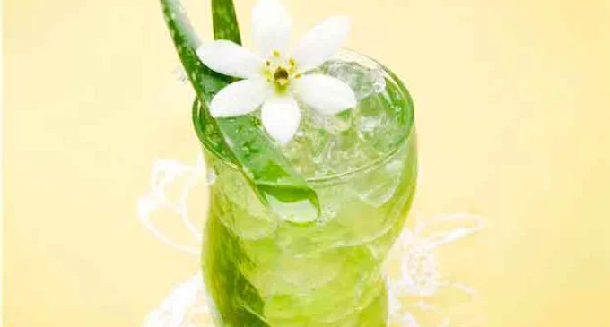Limpieza interior: jugo de aloe vera