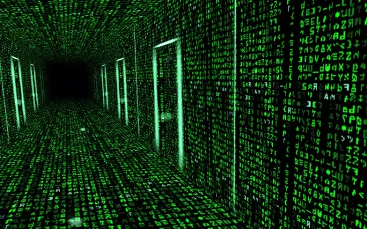 El Internet evolutivo
