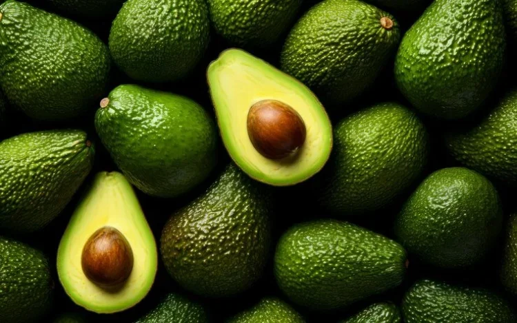 Cómo germinar una semilla de palta (aguacate) en casa: guía completa paso a paso