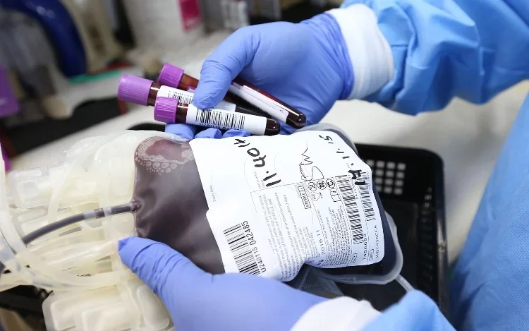 Día Mundial del Donante de Sangre: cómo es el panorama argentino de donaciones en tiempos de pandemia