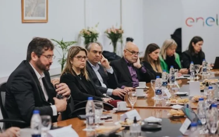 Enel Argentina pidió políticas regulatorias y seguridad jurídica para acelerar la transición energética