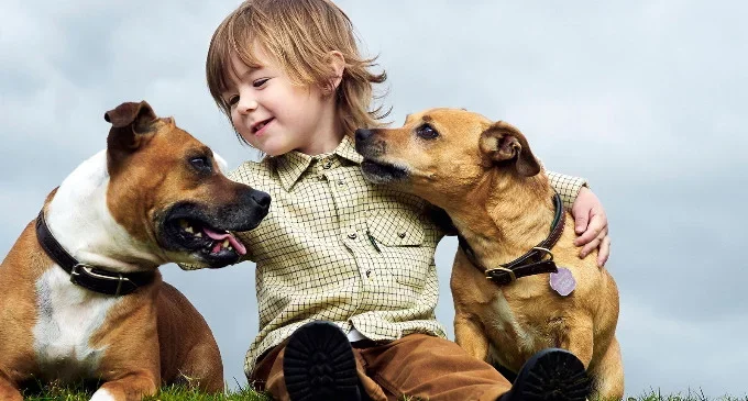 Amor y cuidado de las mascotas