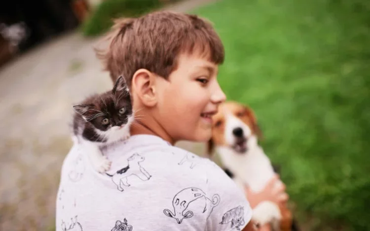 ¿Cómo elegir un seguro para mascotas?