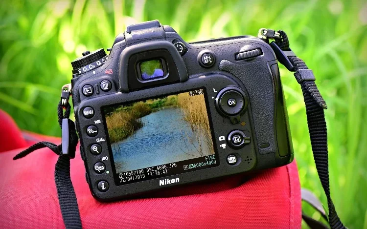 Las mejores cámaras fotográficas para principiantes
