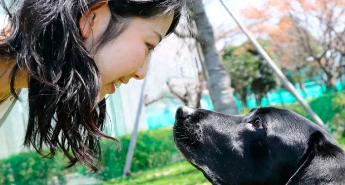 Explican por qué el perro es «el mejor amigo del hombre»
