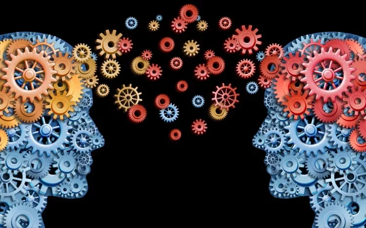 Neurodiversidad: hacia la verdadera igualdad educativa