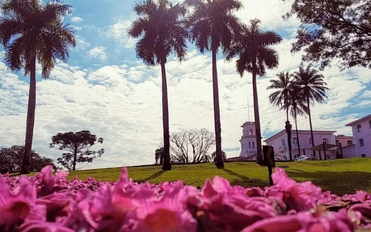 Primavera dá nova cara ao Parque Nacional do Iguaçu