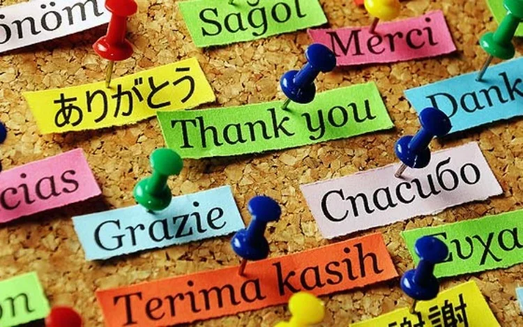 El IESCCI amplía su propuesta idiomática ofreciendo clases de Inglés, Portugués y Español para extranjeros.