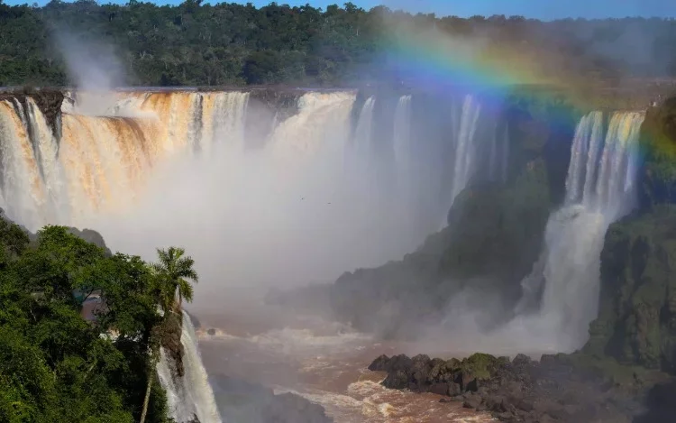 Todo dia é Dia do Meio Ambiente!