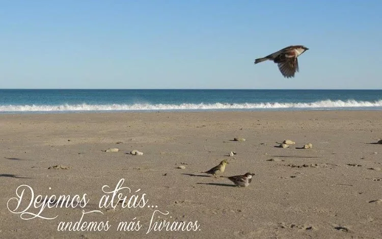 Más livianos